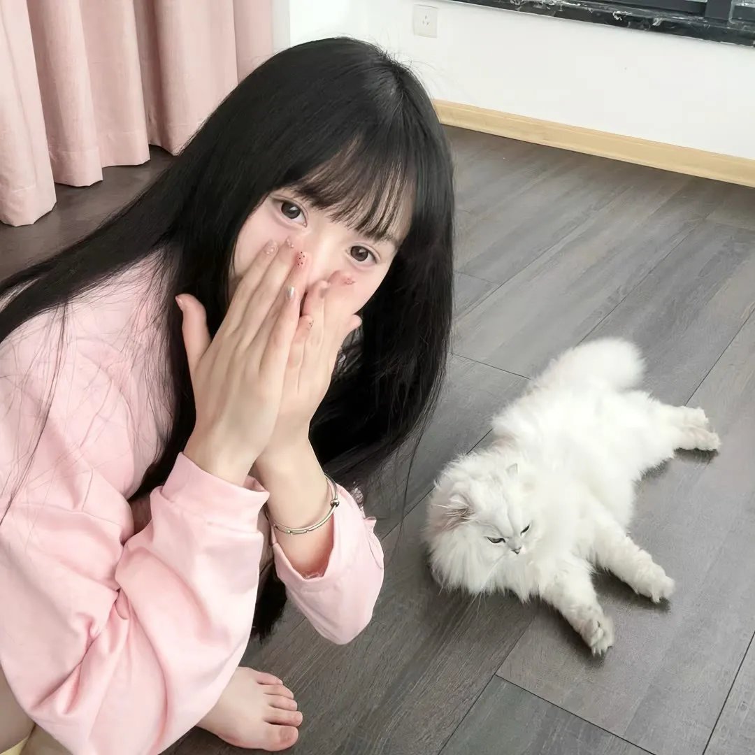 地狱少女第一季